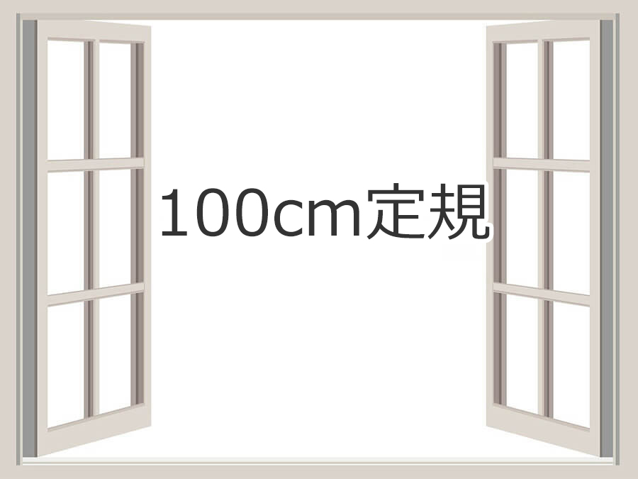 100cm